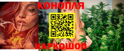 индика Краснодар