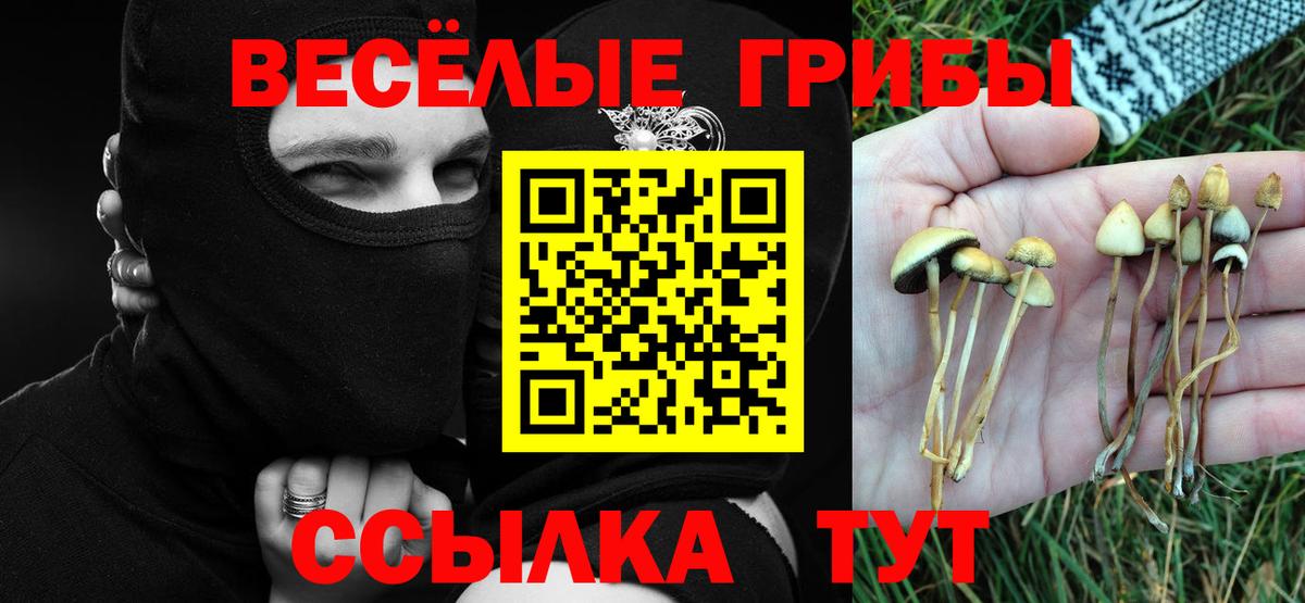Псилоцибиновые грибы Psilocybine cubensis Добрянка