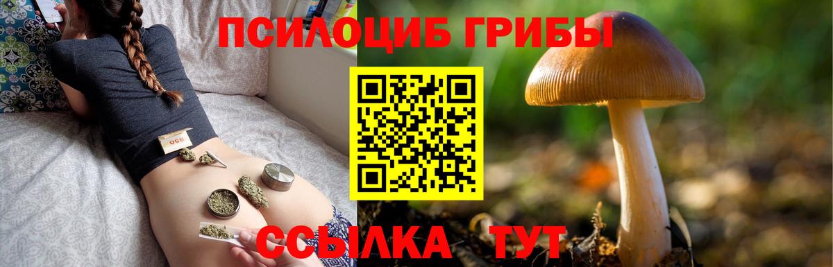 Добрянка  Галлюциногенные грибы мицелий  Вход с VPN  Галлюциногенные грибы Psilocybe 